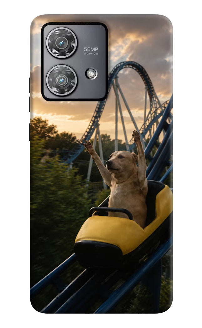 Rollercoaster Dog Moto Edge 40 Neo Hard Case Back Cover by Casekaro