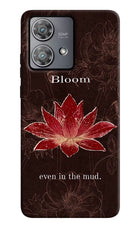 Bloom Moto Edge 40 Neo Back Cover