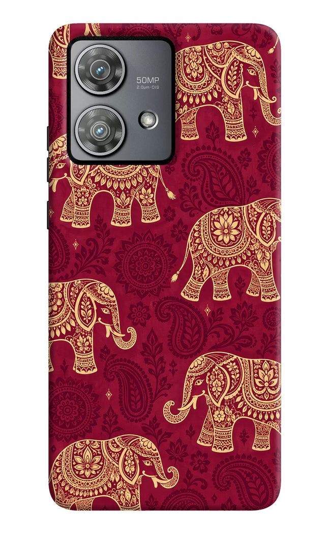 Maroon Elephant Moto Edge 40 Neo Hard Case Back Cover by Casekaro