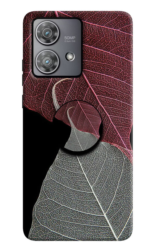 Leaf Pattern Moto Edge 40 Neo Pop Case by Casekaro