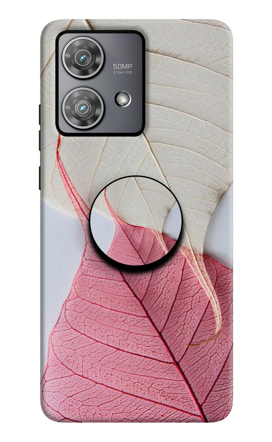 White Pink Leaf Moto Edge 40 Neo Pop Case