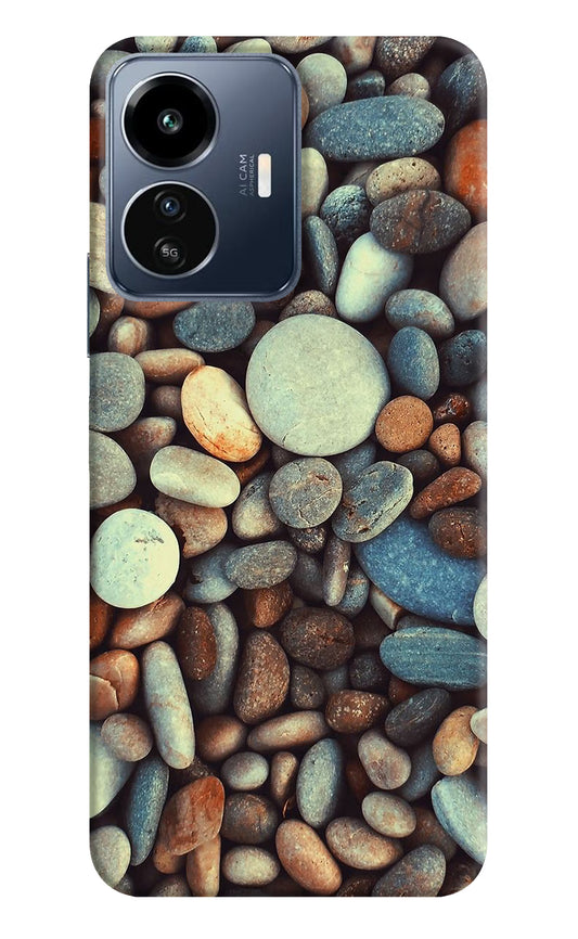 Pebble IQOO Z6 Lite 5G Back Cover