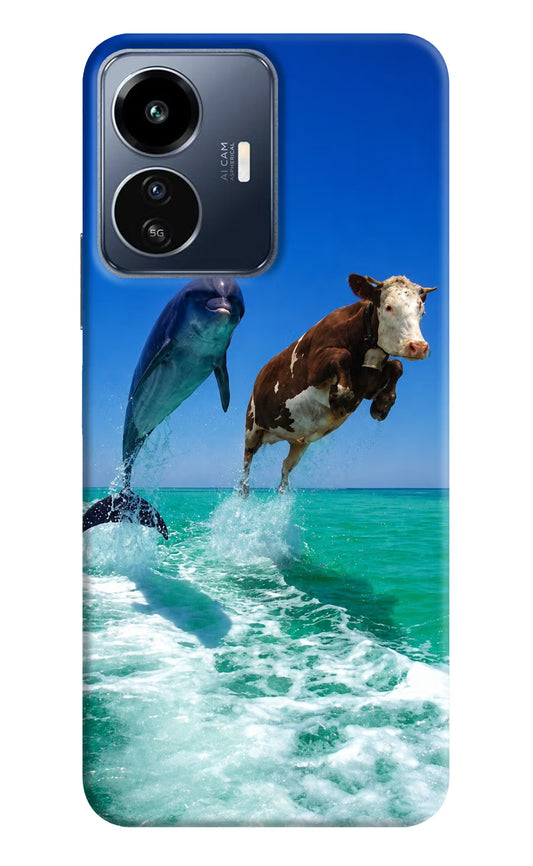 Dolphin vs Cow IQOO Z6 Lite 5G Hard Case Back Cover by Casekaro