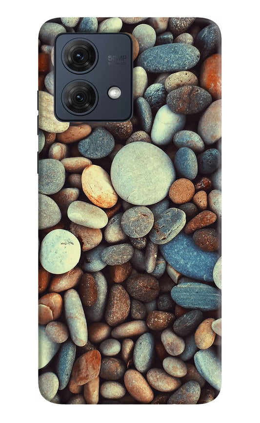 Pebble Moto G54 5G Hard Case Back Cover by Casekaro
