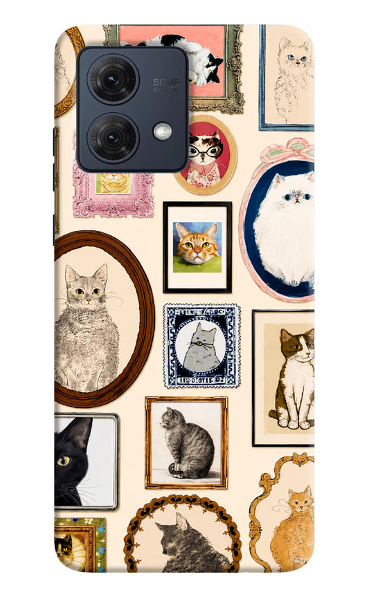 Mirror Cats Moto G54 5G Hard Case Back Cover by Casekaro