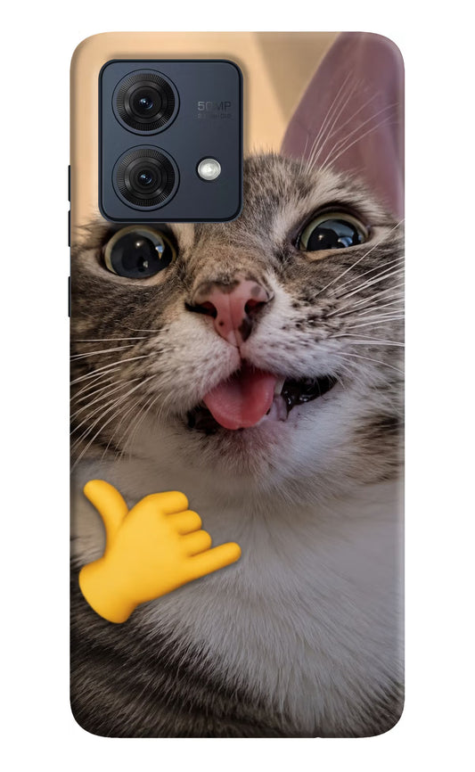Silly Cat Call Moto G54 5G Hard Case Back Cover by Casekaro