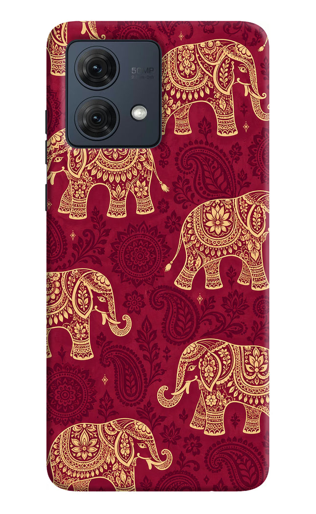 Maroon Elephant Moto G54 5G Hard Case Back Cover by Casekaro