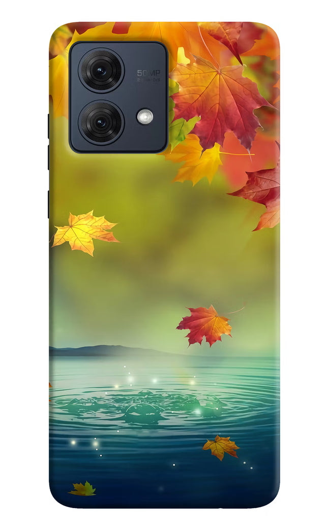 Flowers Moto G84 5G Hard Case Back Cover by Casekaro
