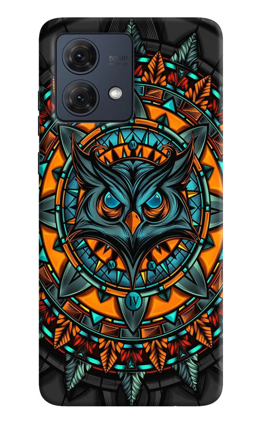 Angry Owl Art Moto G84 5G Hard Case Back Cover by Casekaro