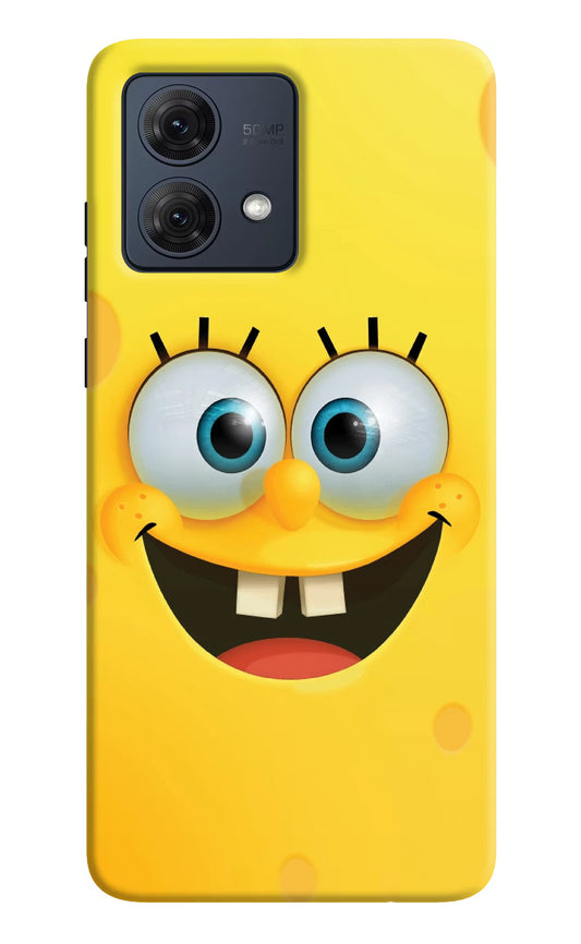 Sponge 1 Moto G84 5G Hard Case Back Cover by Casekaro