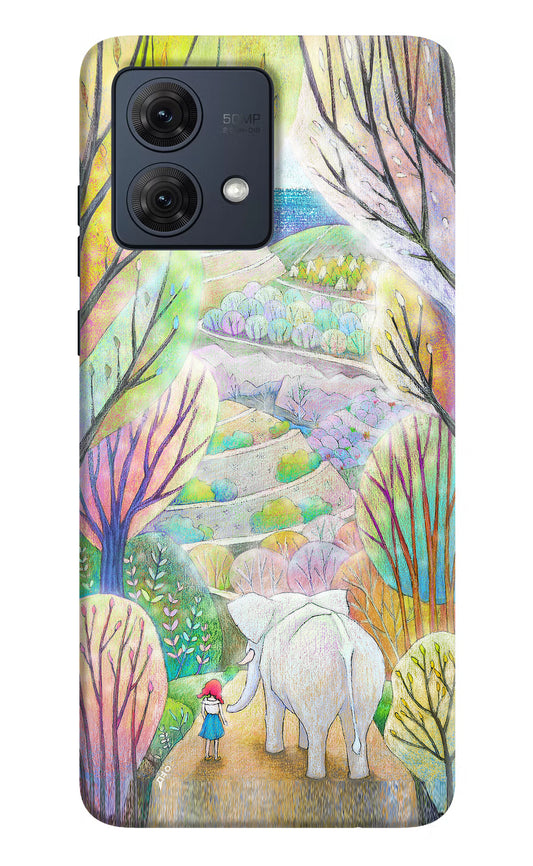 Nature Painting Moto G84 5G Hard Case Back Cover by Casekaro