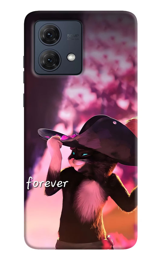 Forever Cat Moto G84 5G Hard Case Back Cover by Casekaro