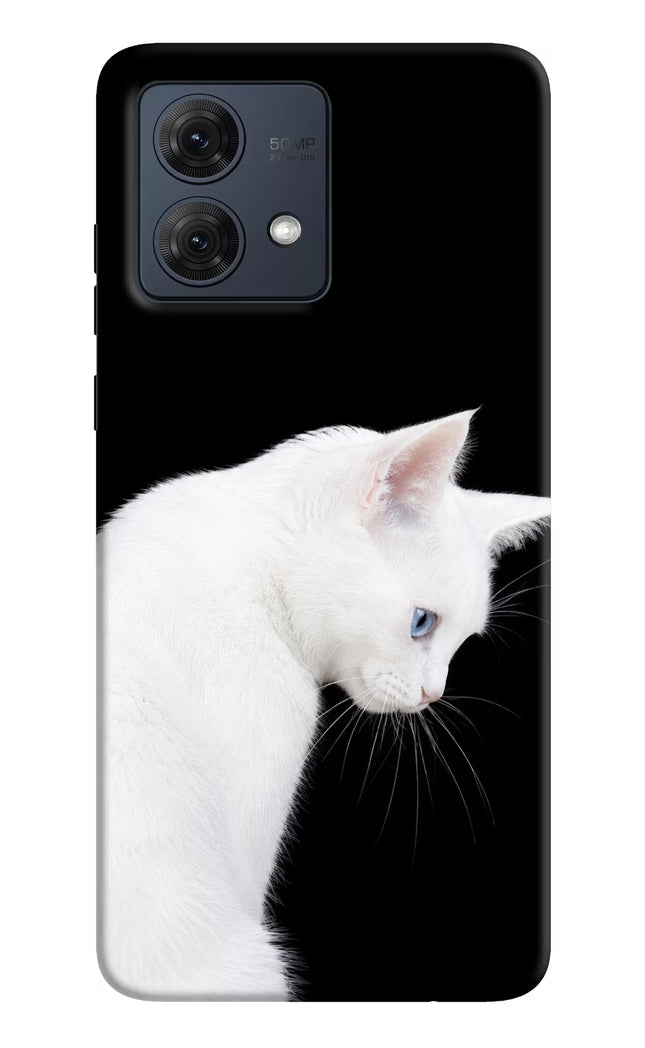 Snow Gaze Moto G84 5G Hard Case Back Cover by Casekaro