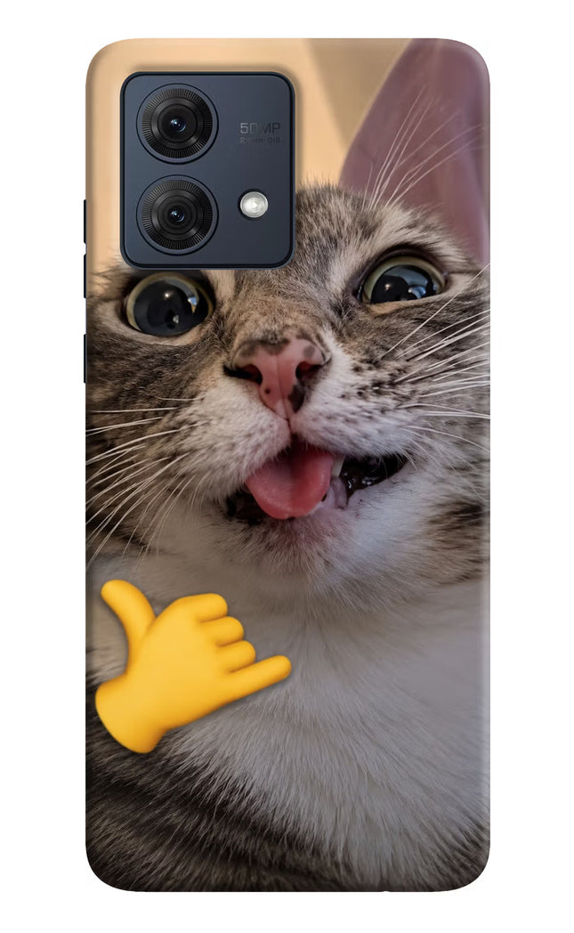 Silly Cat Call Moto G84 5G Hard Case Back Cover by Casekaro