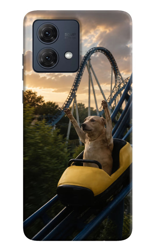 Rollercoaster Dog Moto G84 5G Hard Case Back Cover by Casekaro