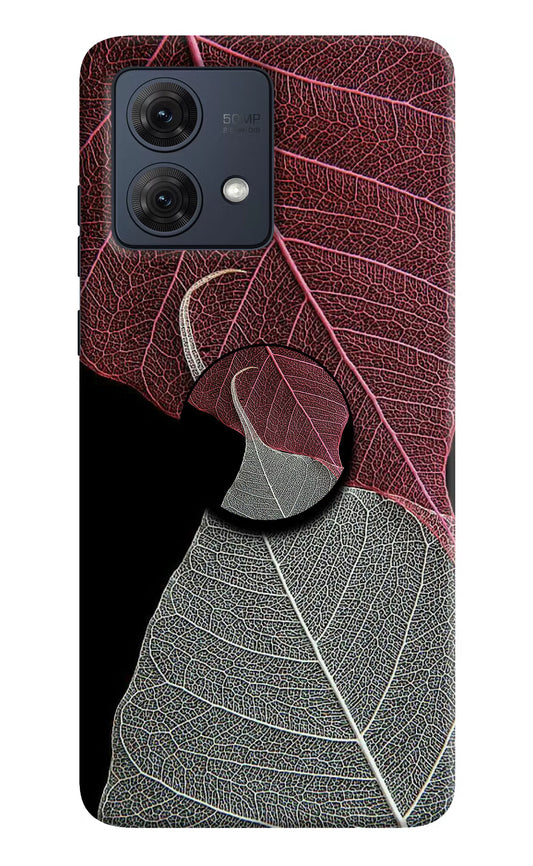 Leaf Pattern Moto G84 5G Pop Case by Casekaro