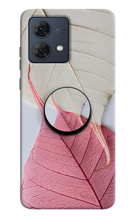 White Pink Leaf Moto G84 5G Pop Case by Casekaro