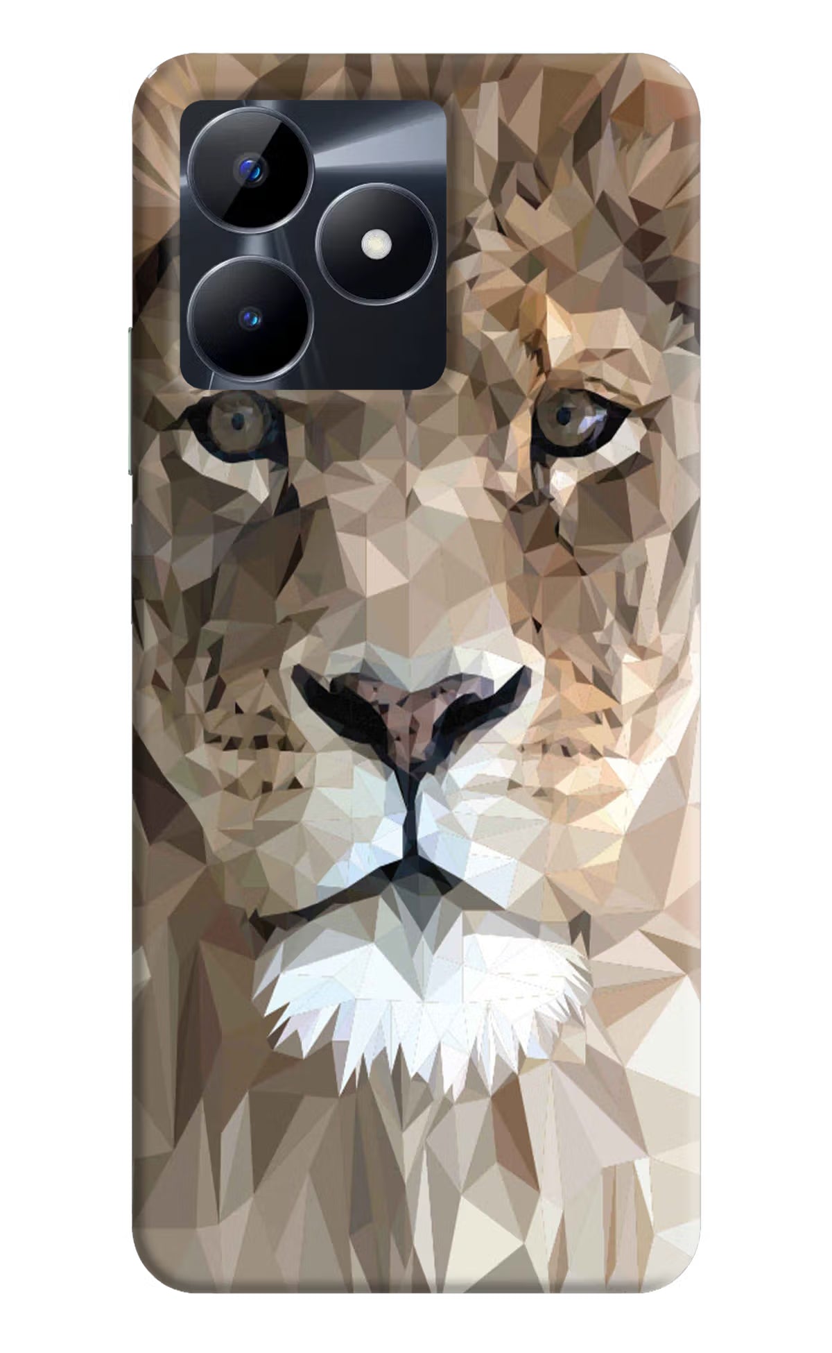 Lion Art Realme C53 Hard Case Back Cover by Casekaro