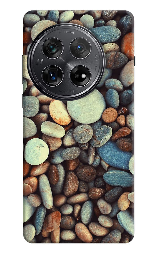 Pebble Oneplus 12 Hard Case Back Cover by Casekaro