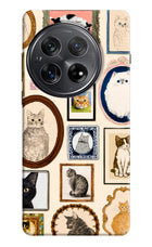 Mirror Cats Oneplus 12 Hard Case Back Cover by Casekaro