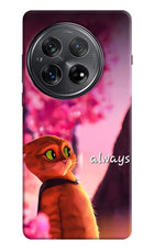 Always Cat Oneplus 12 Hard Case Back Cover by Casekaro