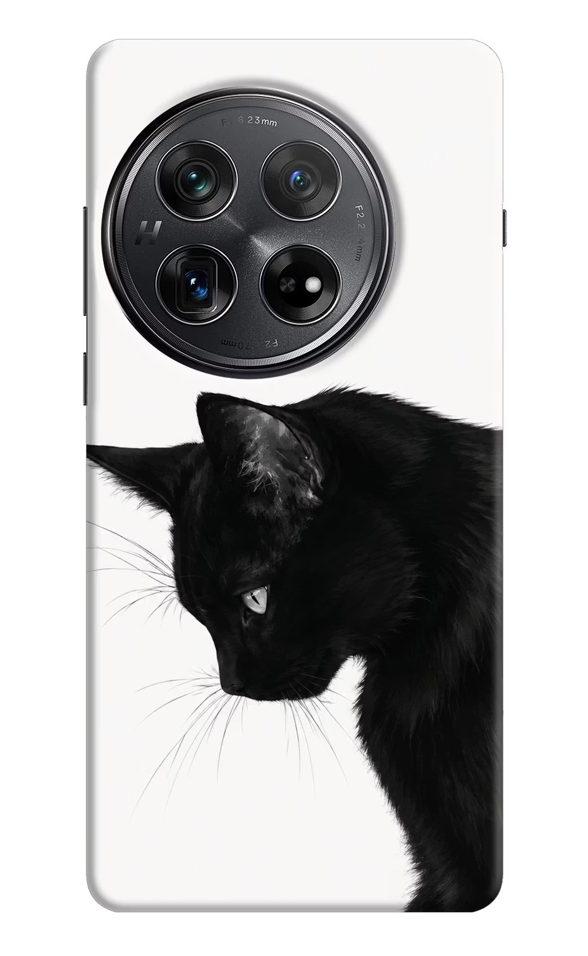 Shadow Gaze Oneplus 12 Back Cover