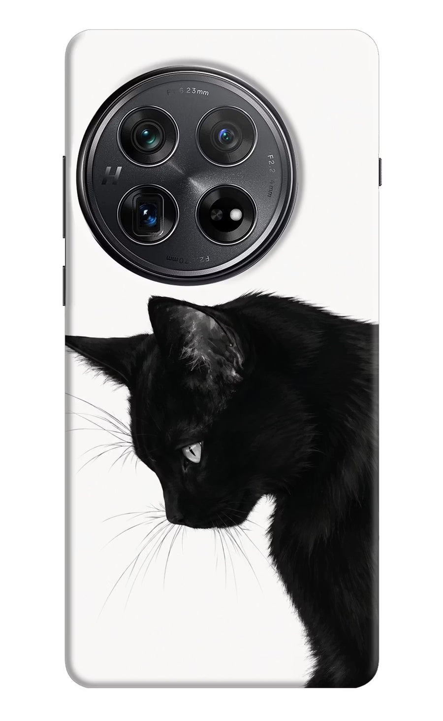 Shadow Gaze Oneplus 12 Back Cover, Hard case
