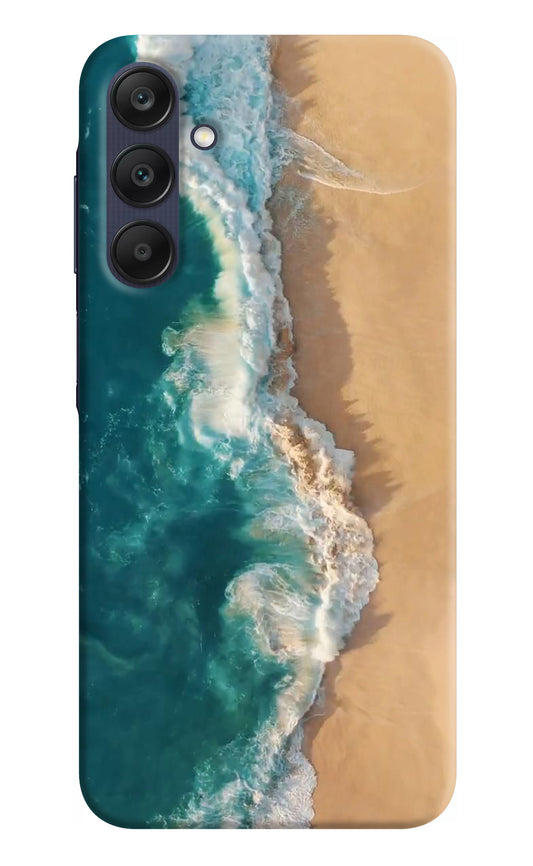 Ocean Beach Samsung A25 5G Back Cover