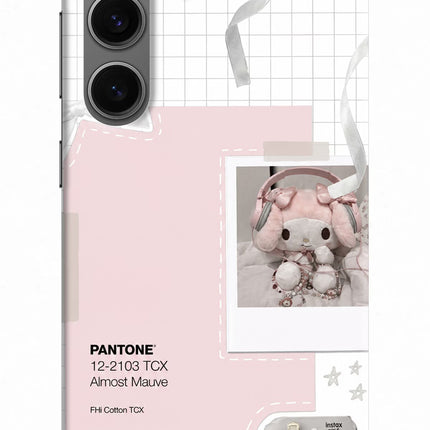 Pantone Asthetic Samsung S24 Hard Case Back Cover by Casekaro
