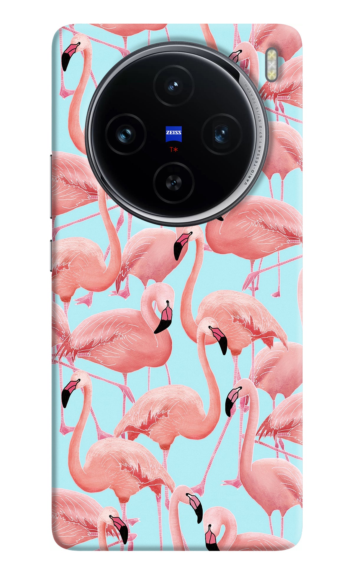 Flamboyance Vivo X100 Back Cover