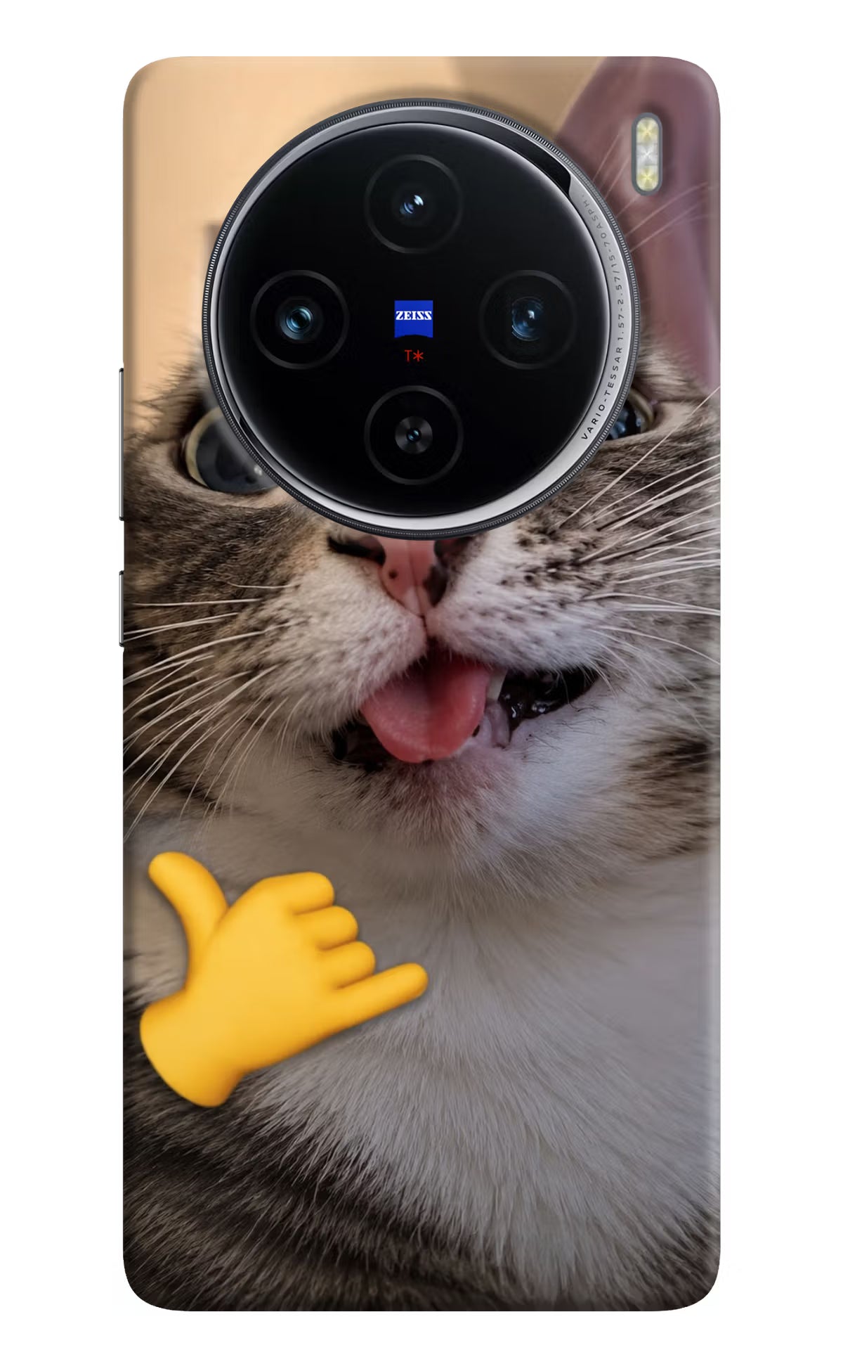 Silly Cat Call Vivo X100 Back Cover