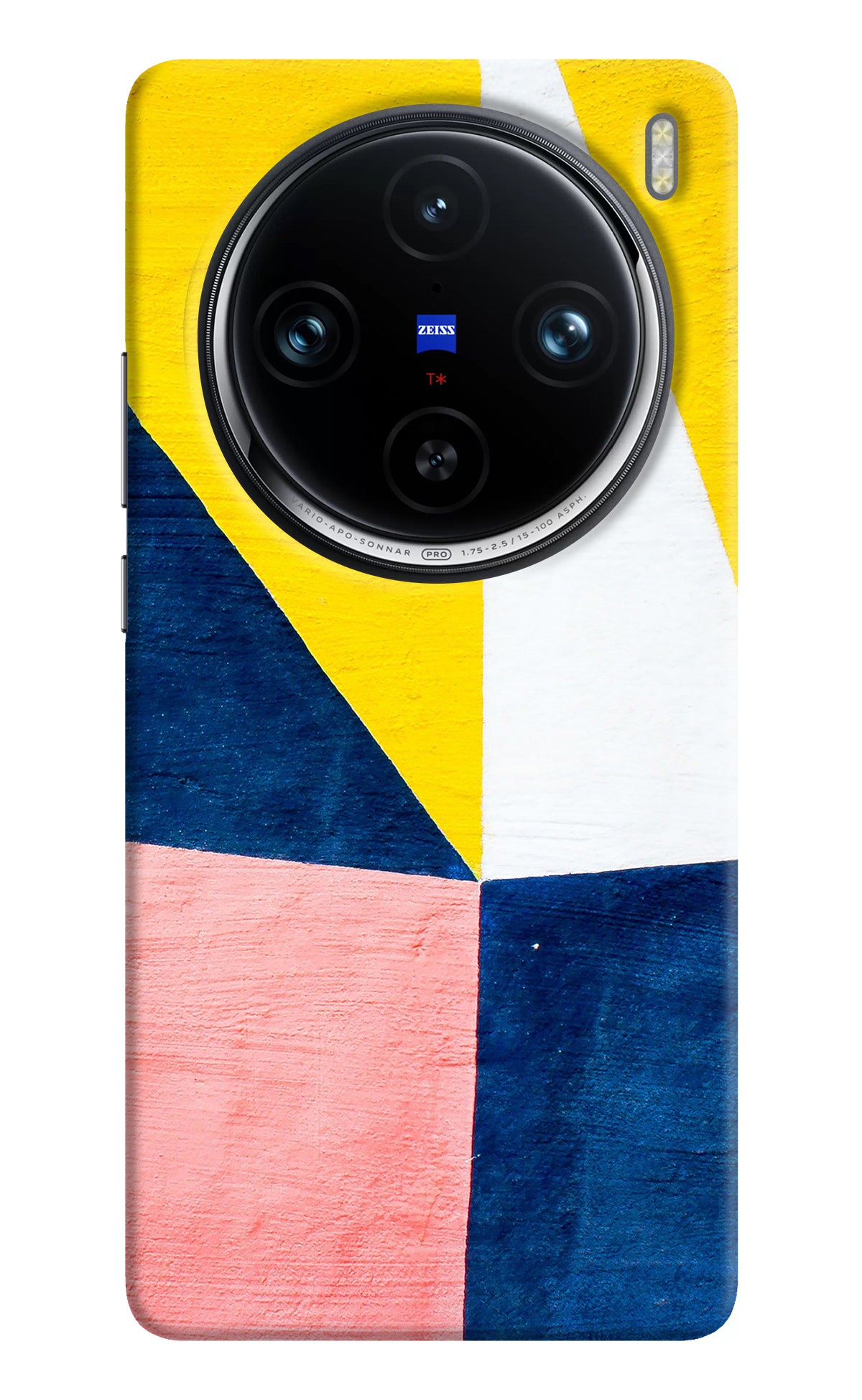 Colourful Art Vivo X100 Pro Back Cover