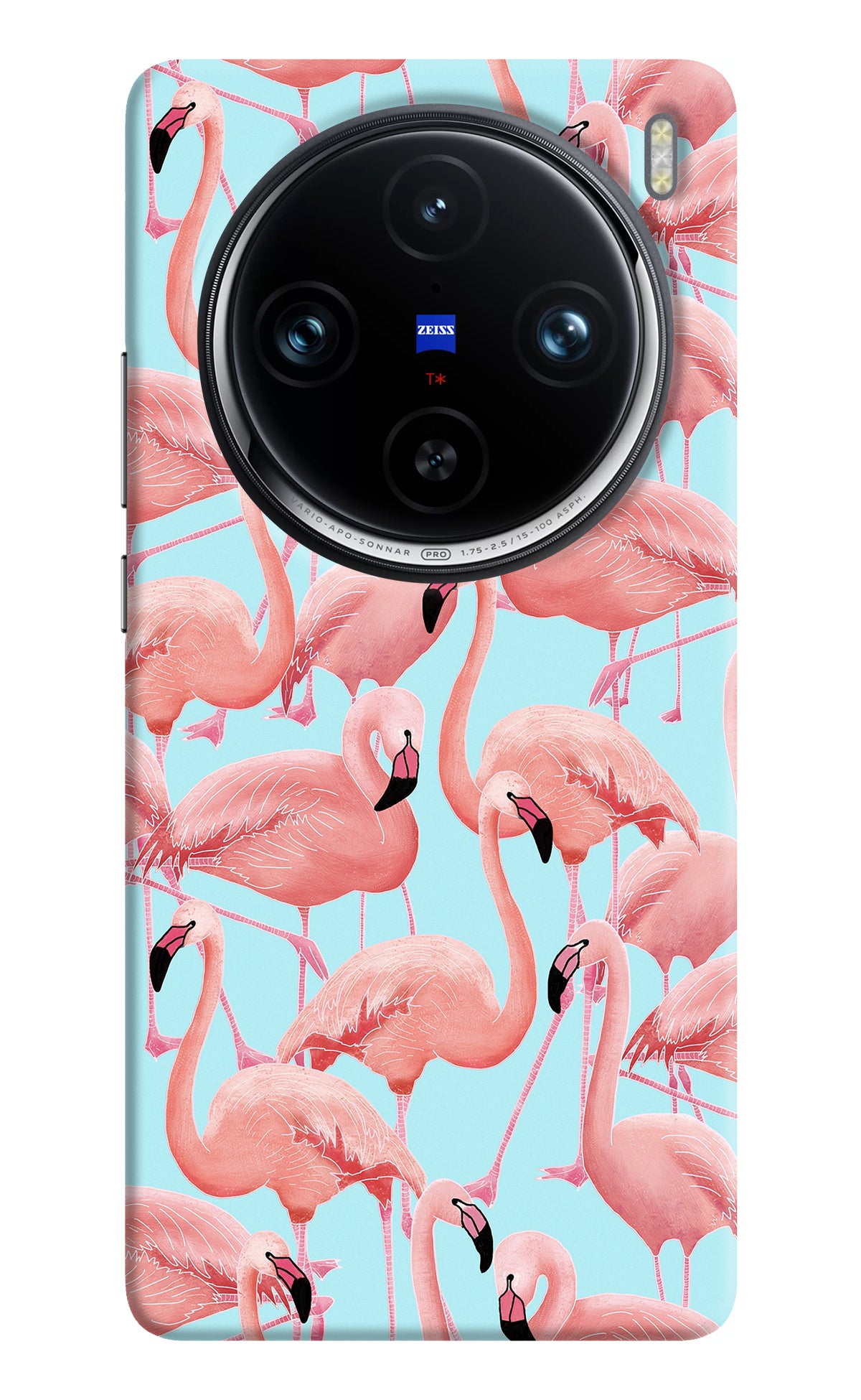 Flamboyance Vivo X100 Pro Back Cover