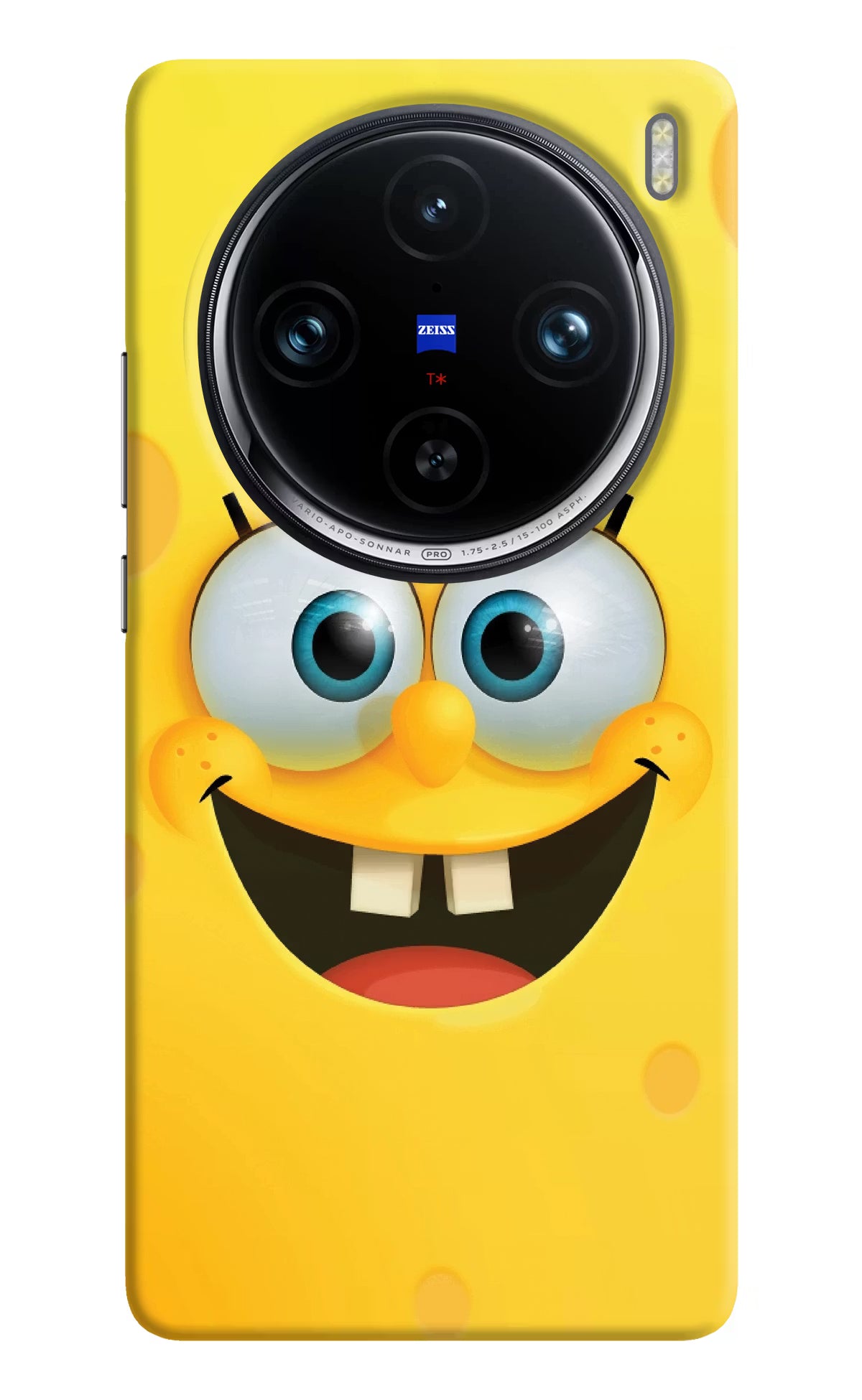 Sponge 1 Vivo X100 Pro Hard Case Back Cover by Casekaro