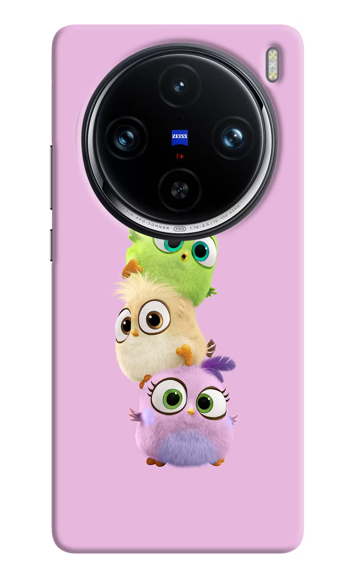 Cute Little Birds Vivo X100 Pro Hard Case Back Cover by Casekaro