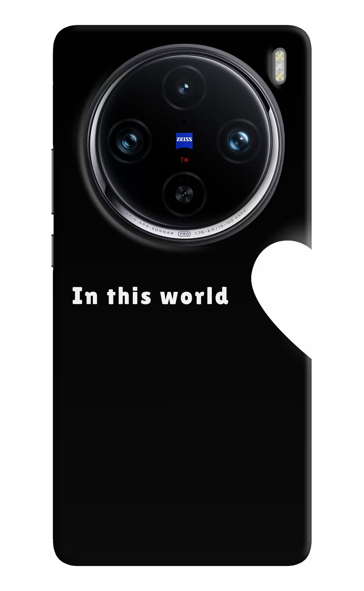 This World Vivo X100 Pro Back Cover