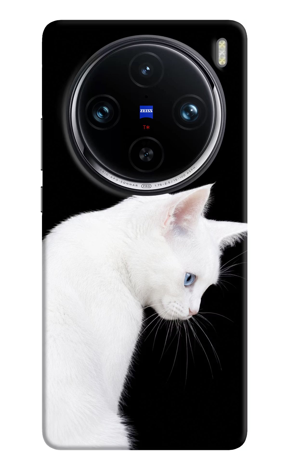 Snow Gaze Vivo X100 Pro Back Cover