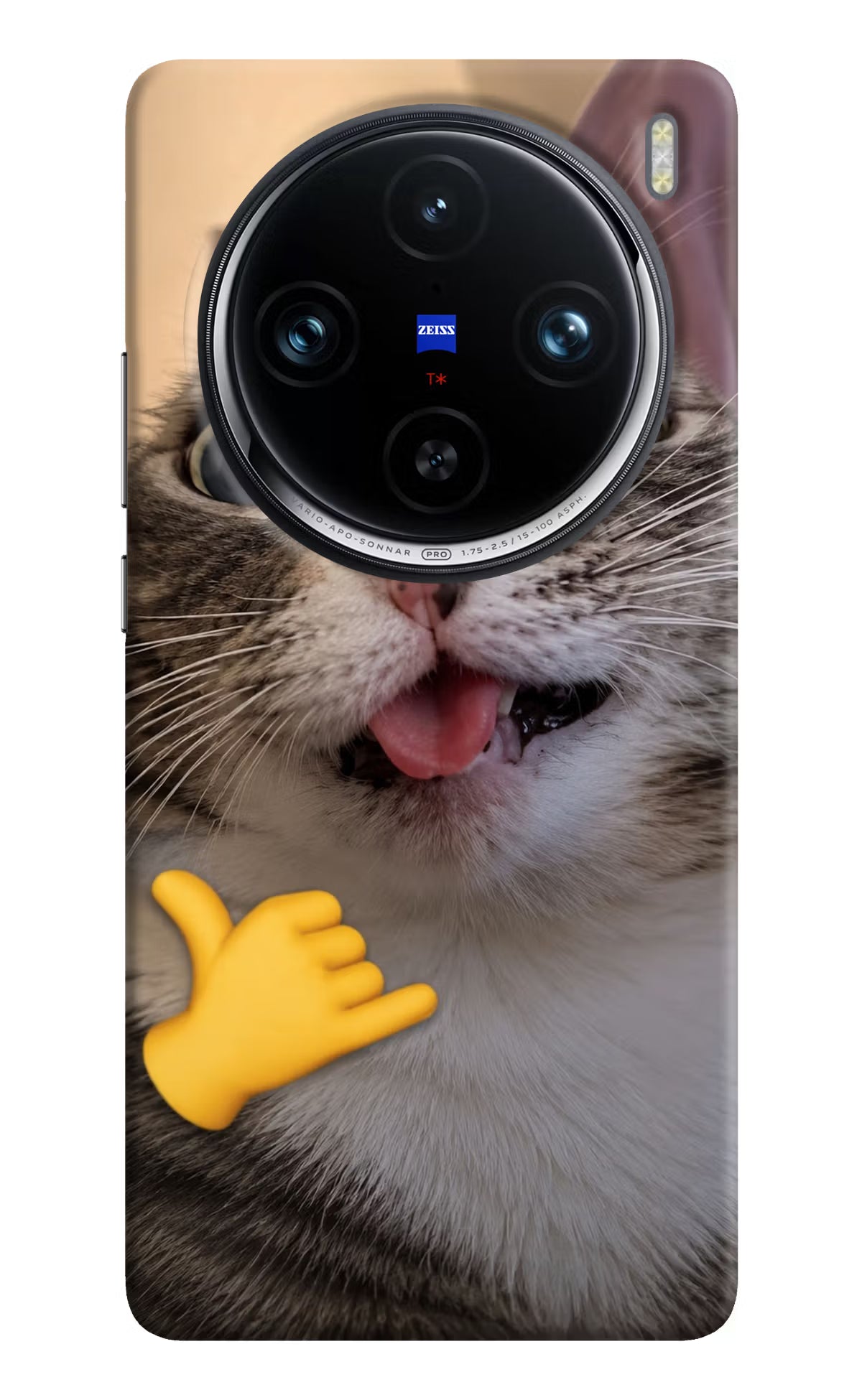Silly Cat Call Vivo X100 Pro Back Cover