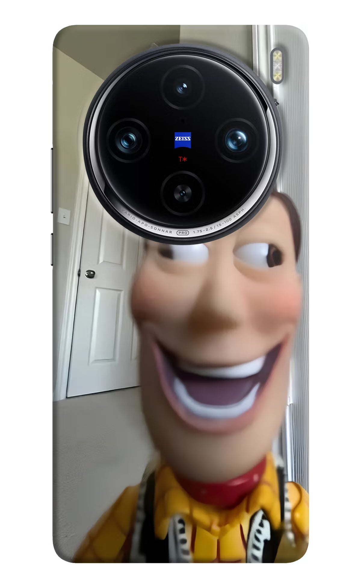 Side Eye Woody Vivo X100 Pro Back Cover