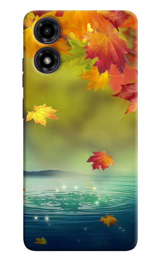 Flowers Moto G04 Hard Case Back Cover by Casekaro