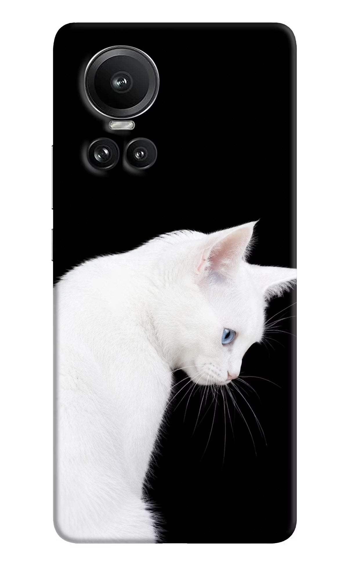 Snow Gaze Oppo Reno10 5G/10 Pro 5G Back Cover