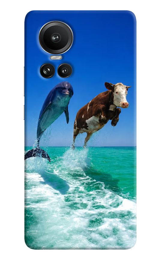 Dolphin vs Cow Oppo Reno10 5G/10 Pro 5G Hard Case Back Cover by Casekaro