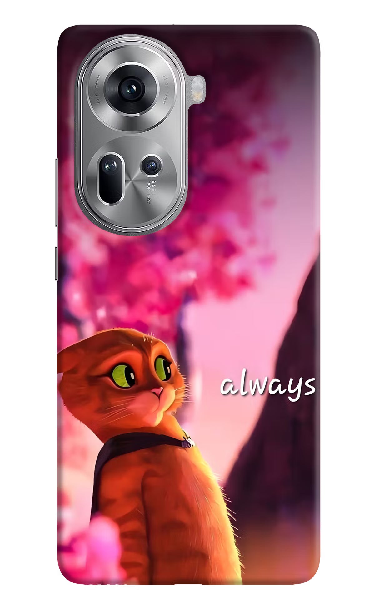 Always Cat Oppo Reno11 Back Cover