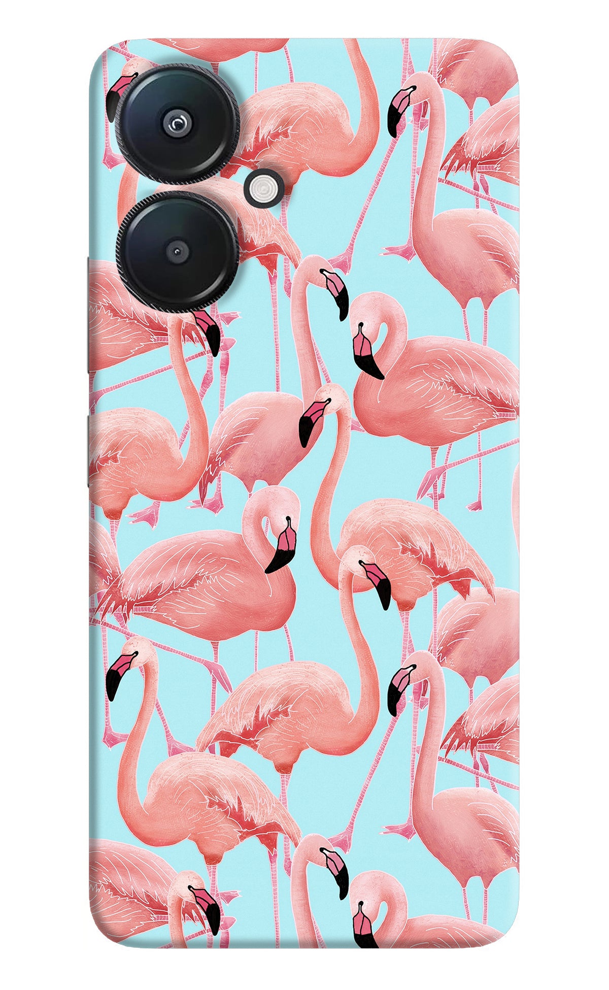 Flamboyance Redmi 13C 5G Back Cover