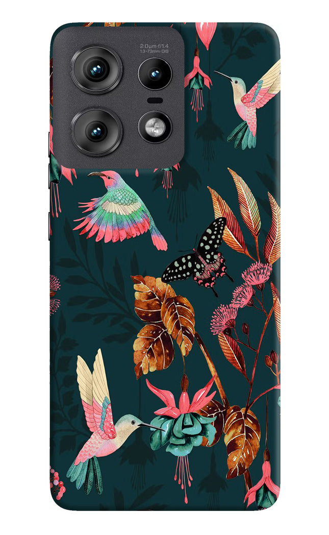 Birds Moto Edge 50 Pro 5G Hard Case Back Cover by Casekaro