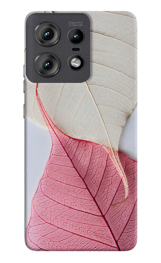White Pink Leaf Moto Edge 50 Pro 5G Hard Case Back Cover by Casekaro