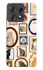 Mirror Cats Moto Edge 50 Pro 5G Hard Case Back Cover by Casekaro