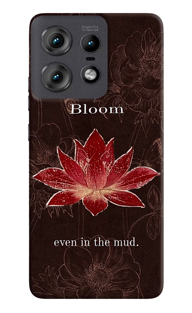 Bloom Moto Edge 50 Pro 5G Hard Case Back Cover by Casekaro