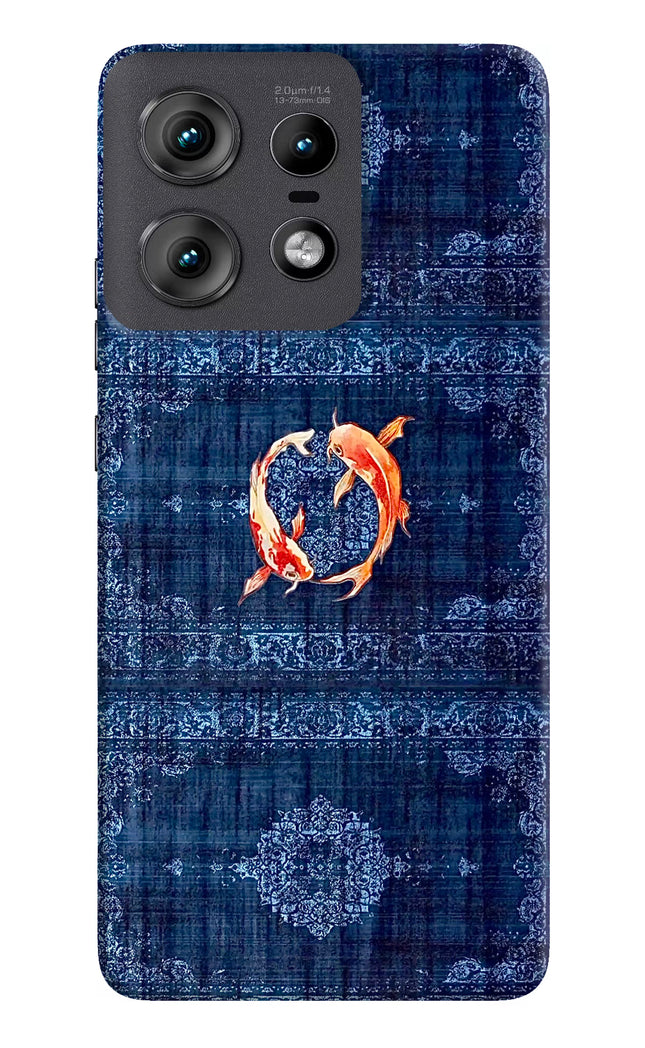 Koi Blue Moto Edge 50 Pro 5G Hard Case Back Cover by Casekaro