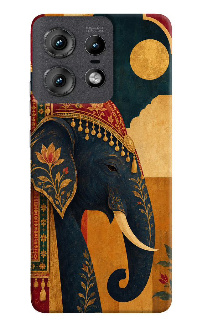 Royal Elephant Moto Edge 50 Pro 5G Hard Case Back Cover by Casekaro